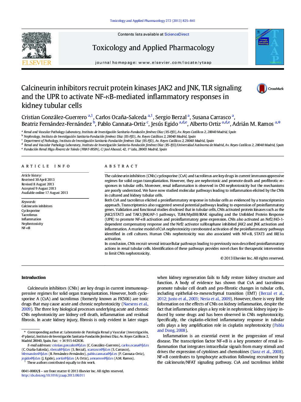 Calcineurin inhibitors recruit protein kinases JAK2 and JNK, TLR signaling and the UPR to activate NF-ÎºB-mediated inflammatory responses in kidney tubular cells