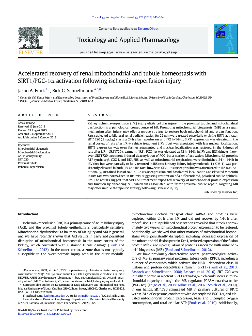 Accelerated recovery of renal mitochondrial and tubule homeostasis with SIRT1/PGC-1Î± activation following ischemia-reperfusion injury