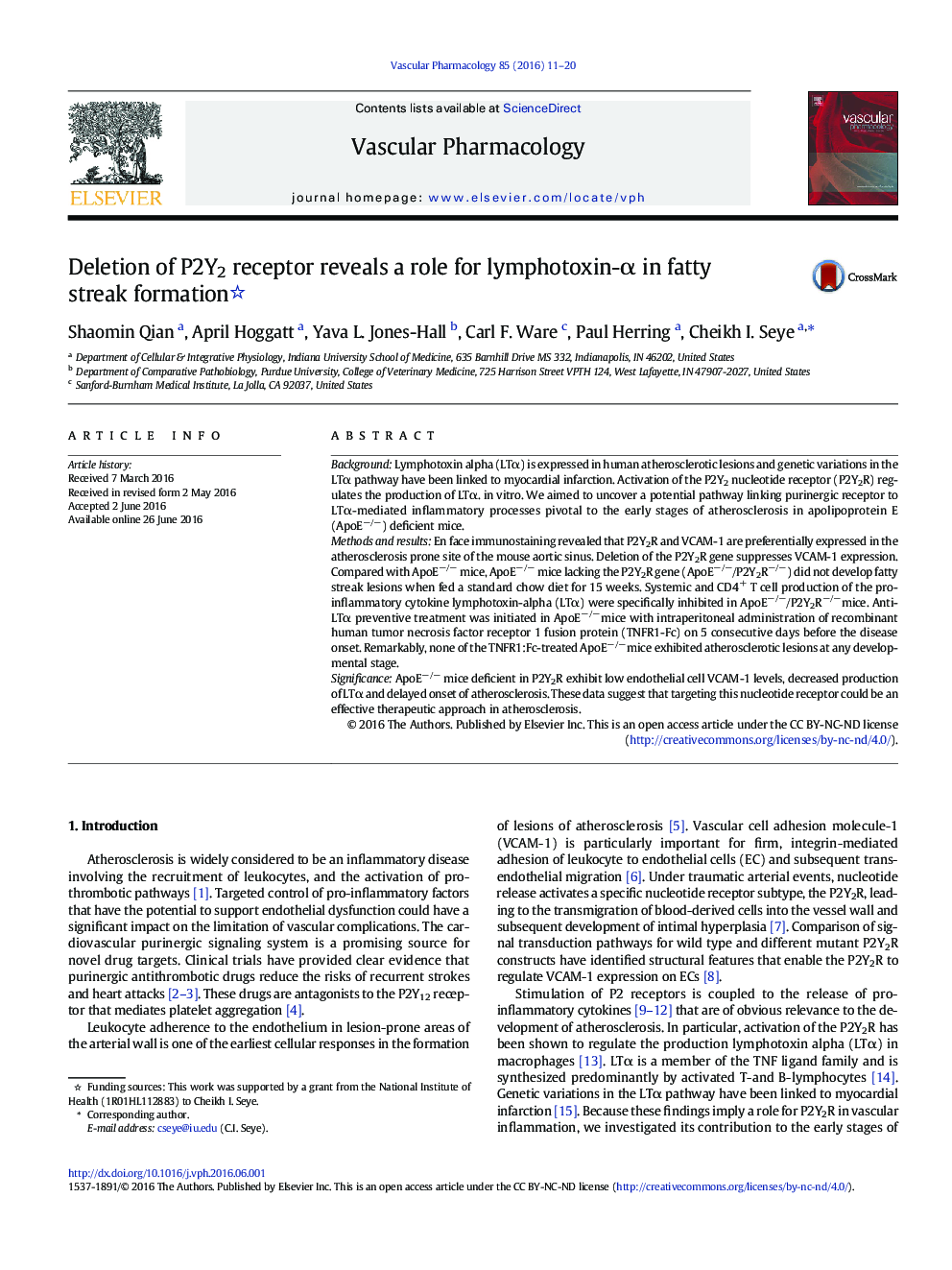 Deletion of P2Y2 receptor reveals a role for lymphotoxin-Î± in fatty streak formation
