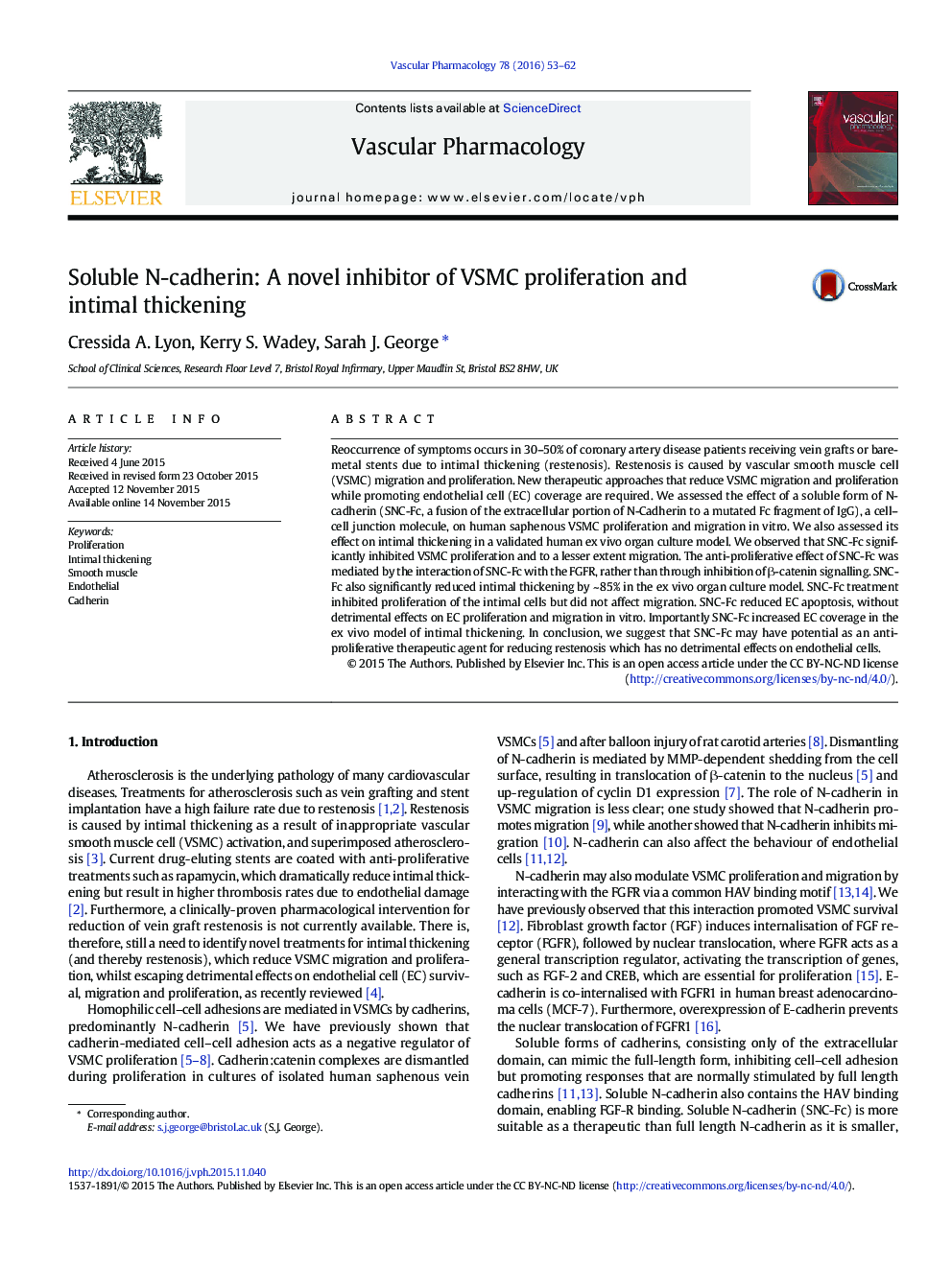 Soluble N-cadherin: A novel inhibitor of VSMC proliferation and intimal thickening