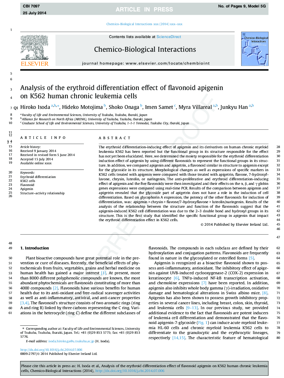 Analysis of the erythroid differentiation effect of flavonoid apigenin on K562 human chronic leukemia cells