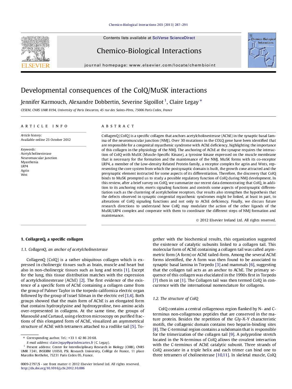 Developmental consequences of the ColQ/MuSK interactions