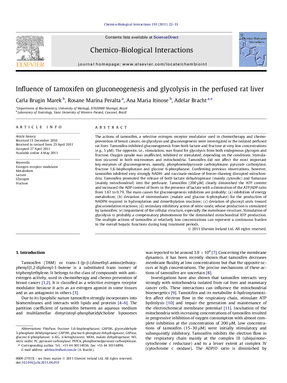 Influence of tamoxifen on gluconeogenesis and glycolysis in the perfused rat liver