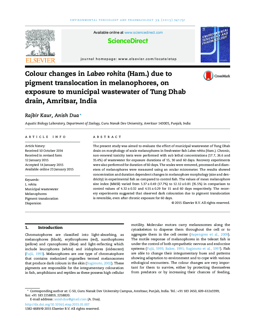 Colour changes in Labeo rohita (Ham.) due to pigment translocation in melanophores, on exposure to municipal wastewater of Tung Dhab drain, Amritsar, India