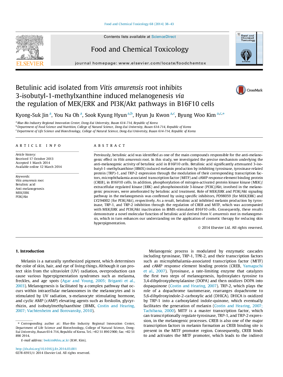 Betulinic acid isolated from Vitis amurensis root inhibits 3-isobutyl-1-methylxanthine induced melanogenesis via the regulation of MEK/ERK and PI3K/Akt pathways in B16F10 cells