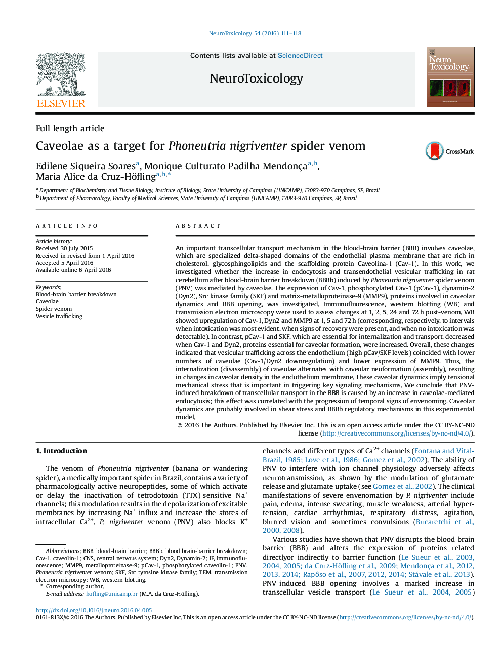 Full length articleCaveolae as a target for Phoneutria nigriventer spider venom