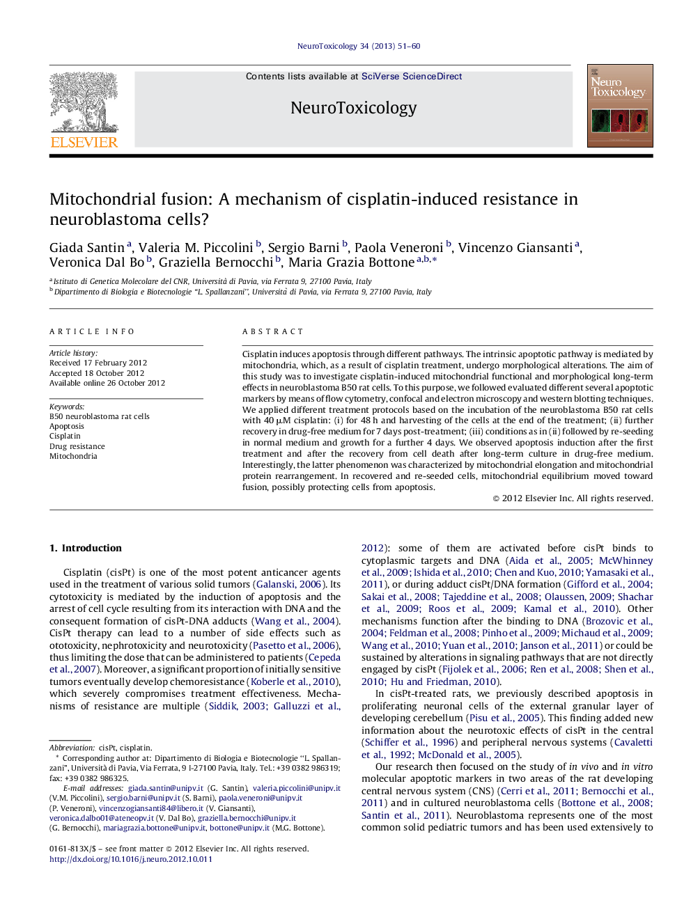 Mitochondrial fusion: A mechanism of cisplatin-induced resistance in neuroblastoma cells?