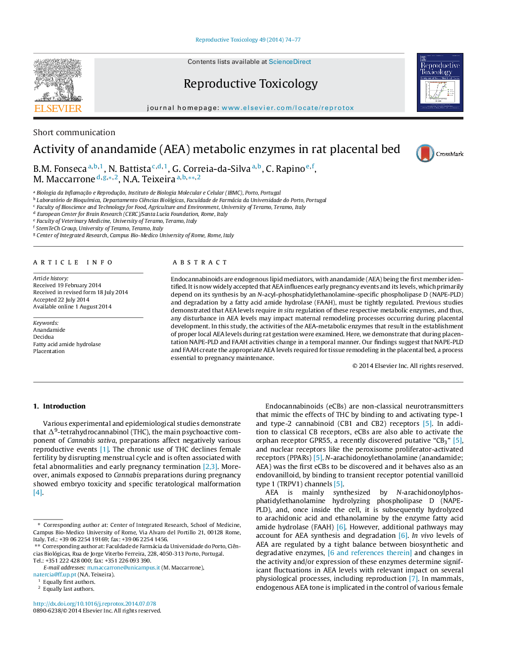 Short communicationActivity of anandamide (AEA) metabolic enzymes in rat placental bed