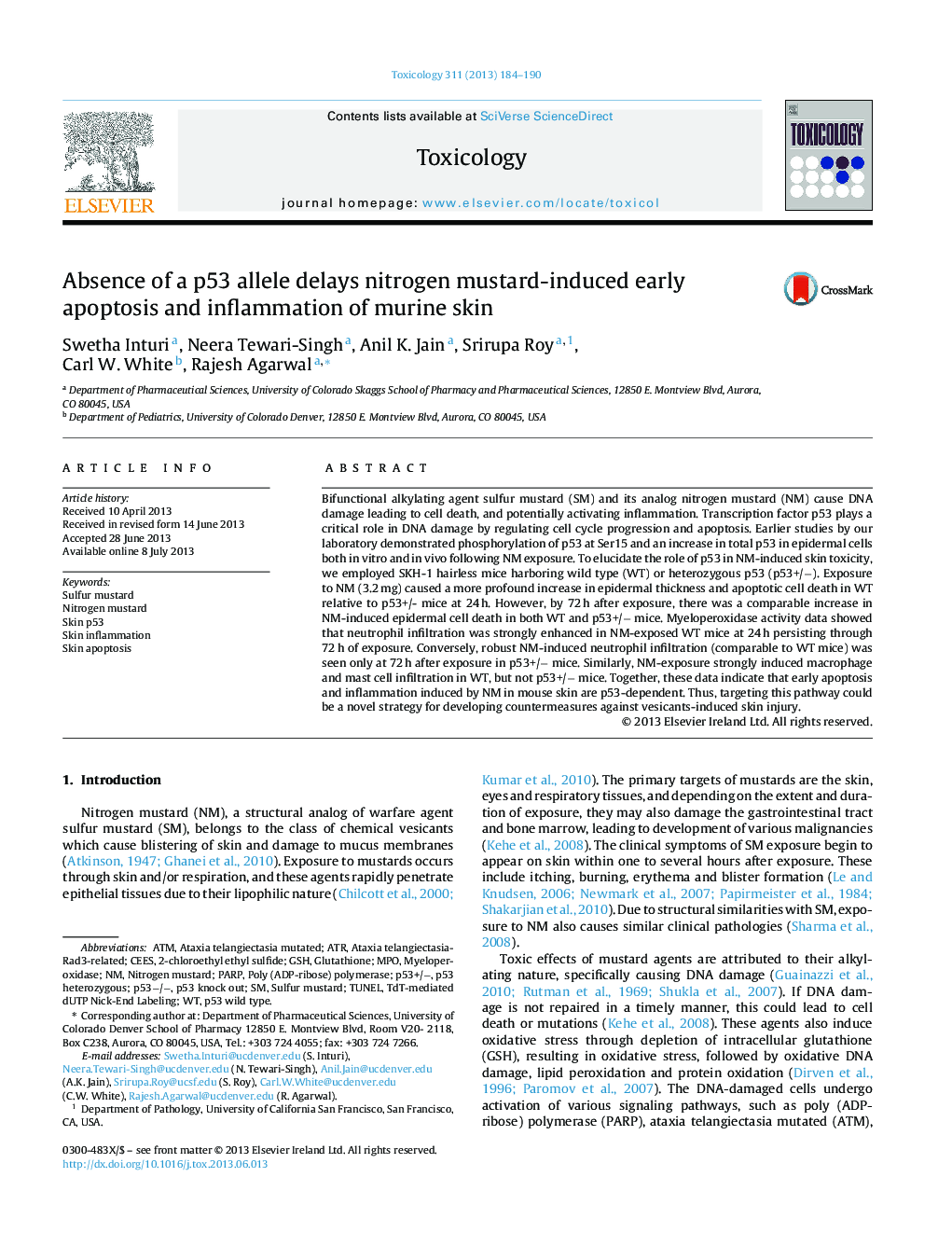 Absence of a p53 allele delays nitrogen mustard-induced early apoptosis and inflammation of murine skin