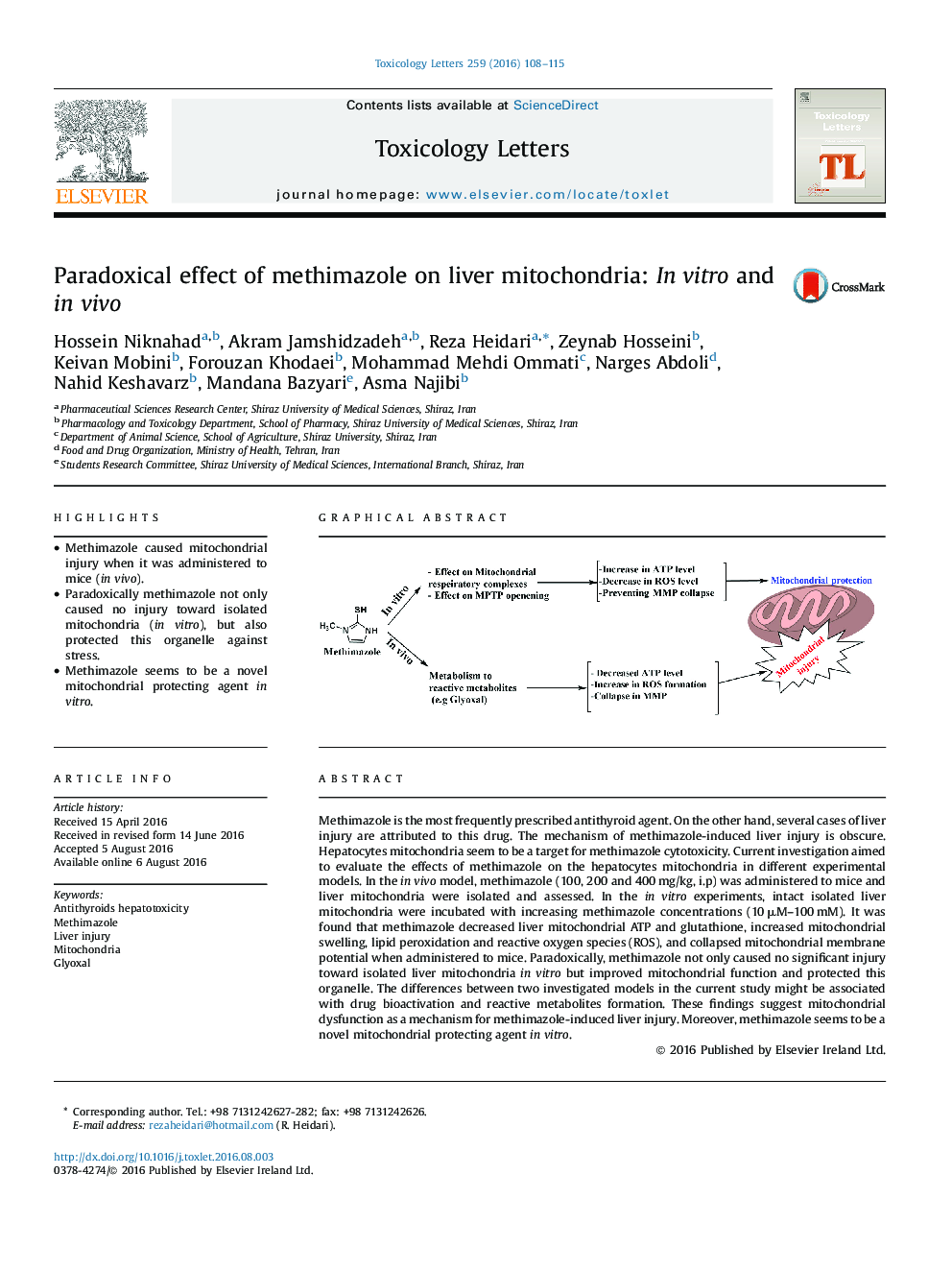 Paradoxical effect of methimazole on liver mitochondria: In vitro and in vivo