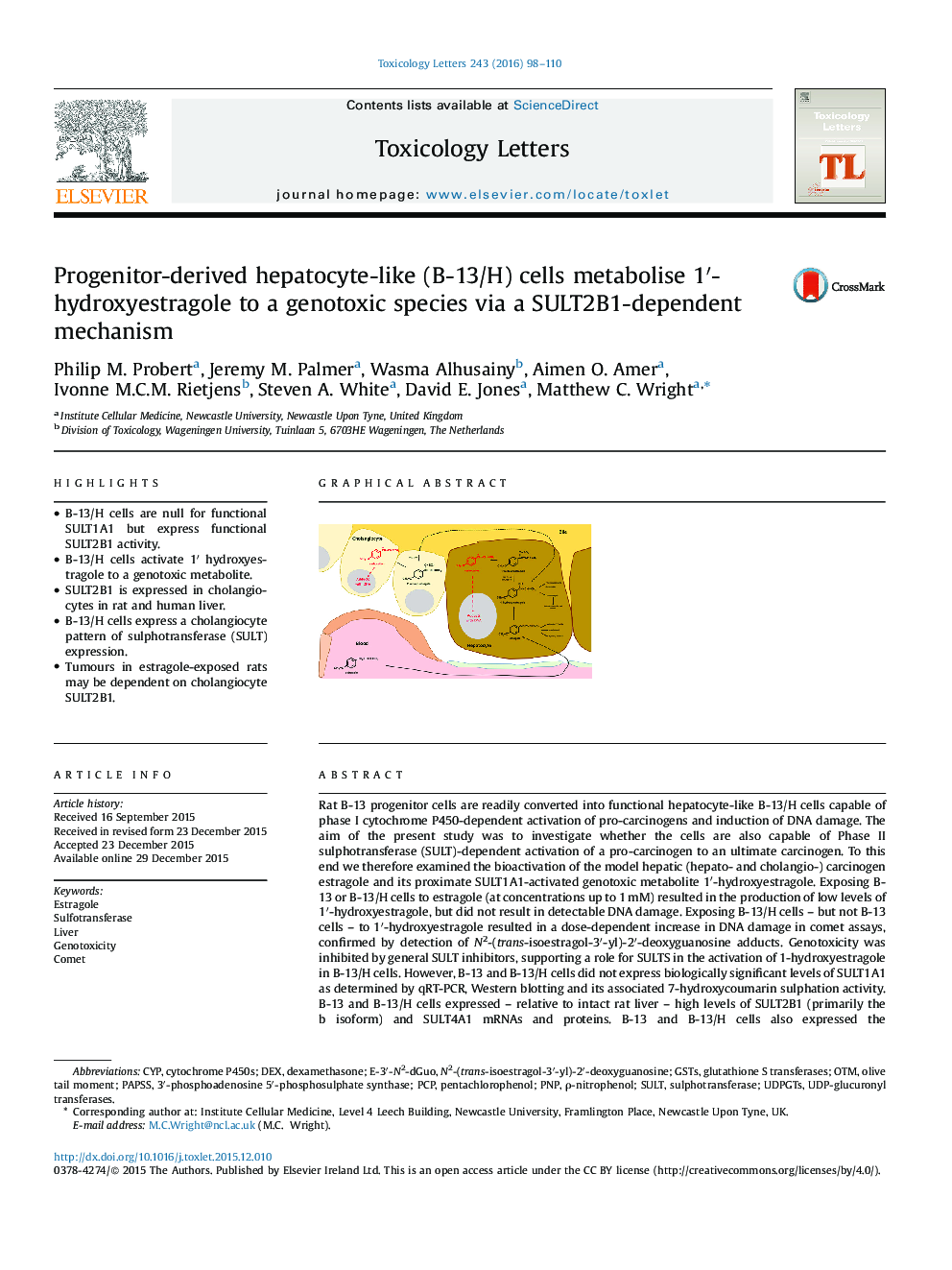 Progenitor-derived hepatocyte-like (B-13/H) cells metabolise 1â²-hydroxyestragole to a genotoxic species via a SULT2B1-dependent mechanism