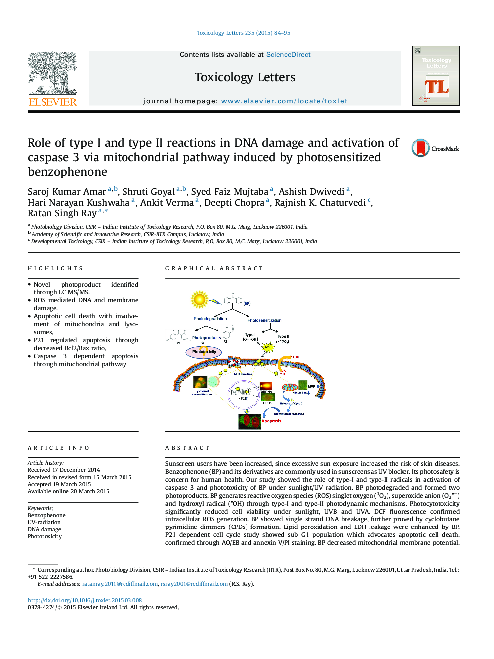 Role of type I & type II reactions in DNA damage and activation of Caspase 3 via mitochondrial pathway induced by photosensitized benzophenone
