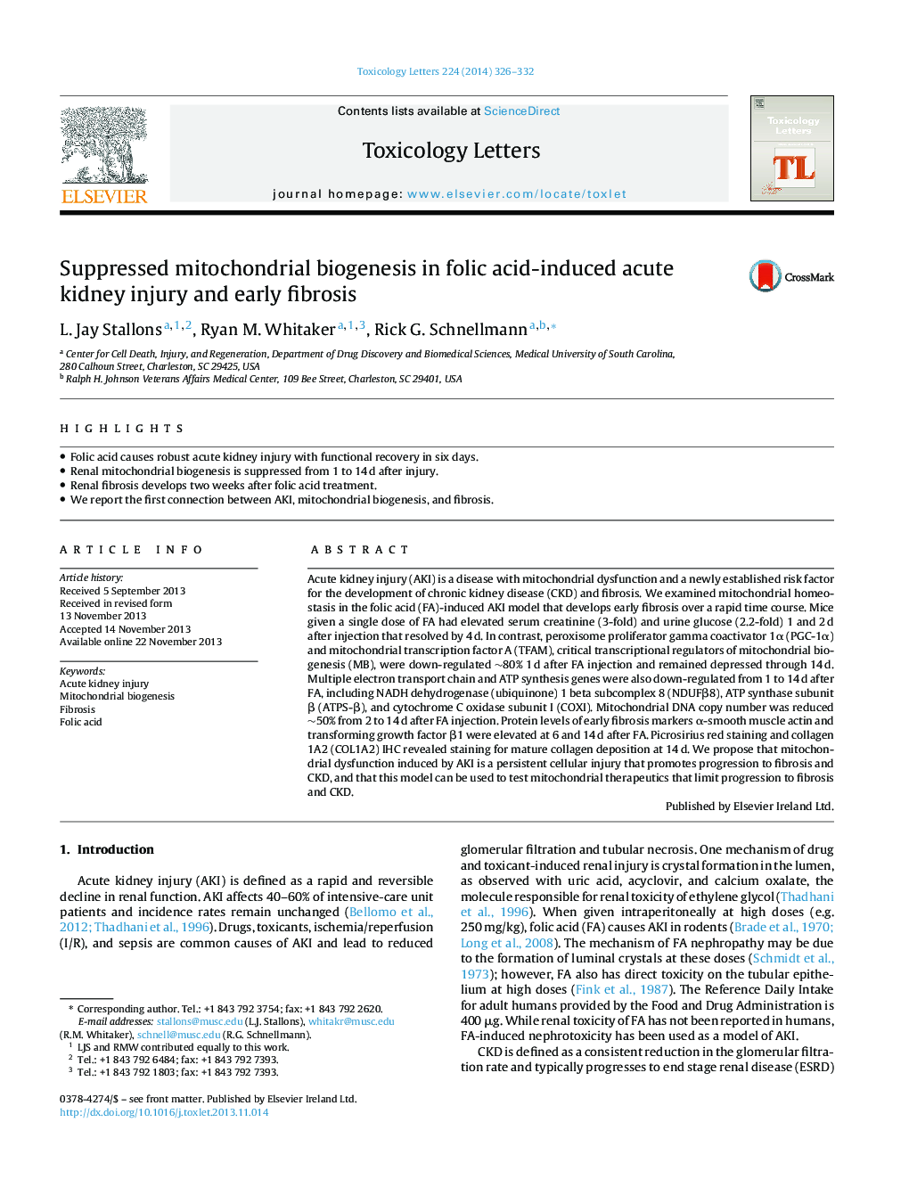 Suppressed mitochondrial biogenesis in folic acid-induced acute kidney injury and early fibrosis