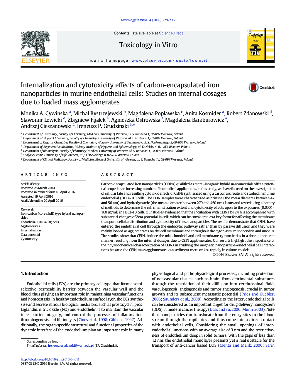 Internalization and cytotoxicity effects of carbon-encapsulated iron nanoparticles in murine endothelial cells: Studies on internal dosages due to loaded mass agglomerates