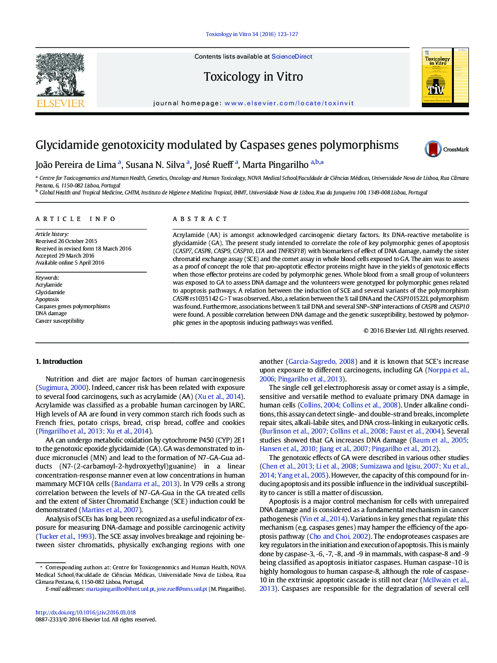 Glycidamide genotoxicity modulated by Caspases genes polymorphisms