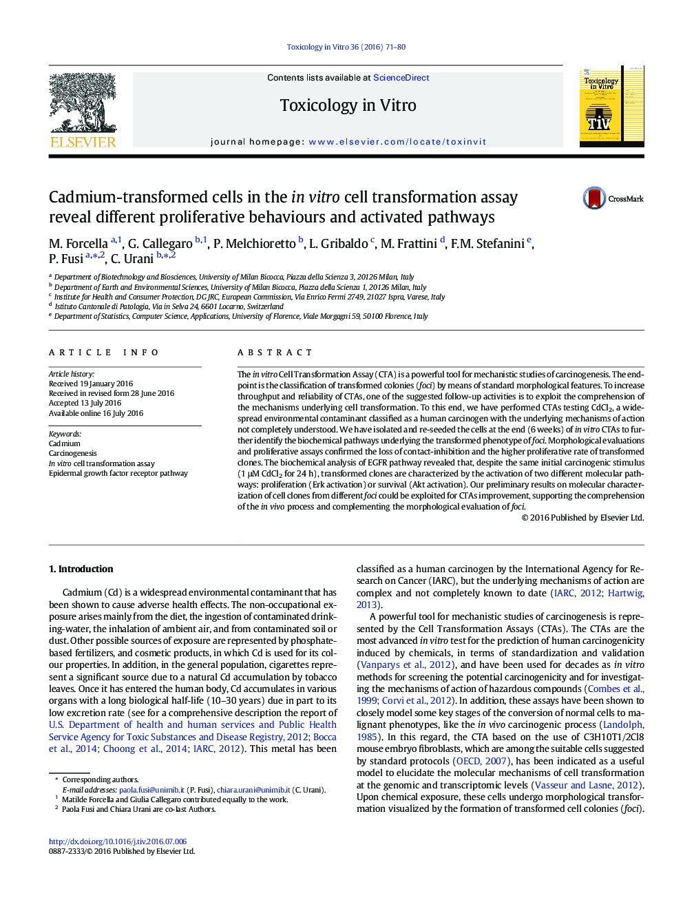 Cadmium-transformed cells in the in vitro cell transformation assay reveal different proliferative behaviours and activated pathways