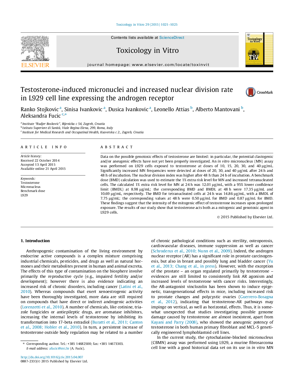 Testosterone-induced micronuclei and increased nuclear division rate in L929 cell line expressing the androgen receptor