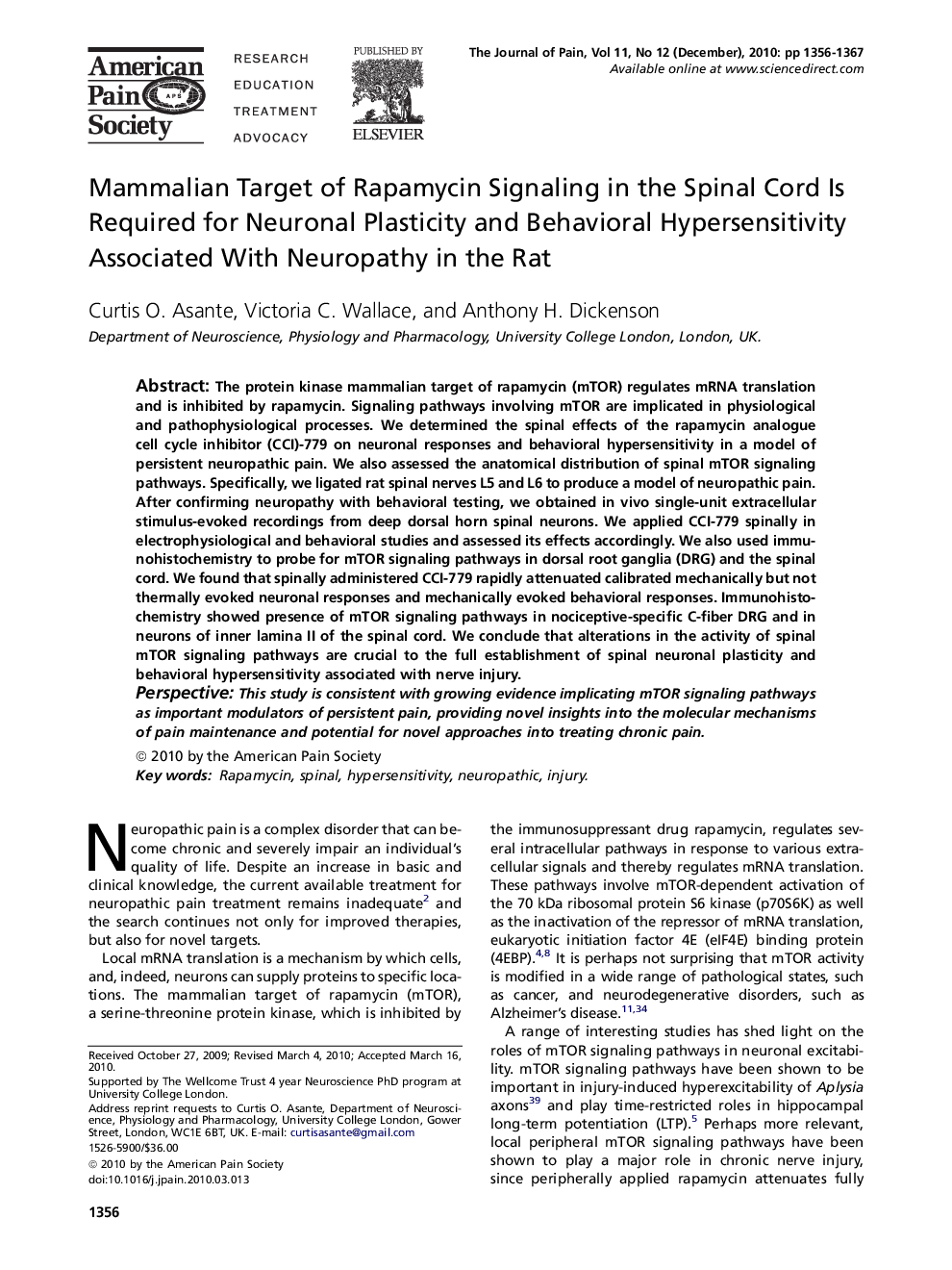 Mammalian Target of Rapamycin Signaling in the Spinal Cord Is Required for Neuronal Plasticity and Behavioral Hypersensitivity Associated With Neuropathy in the Rat