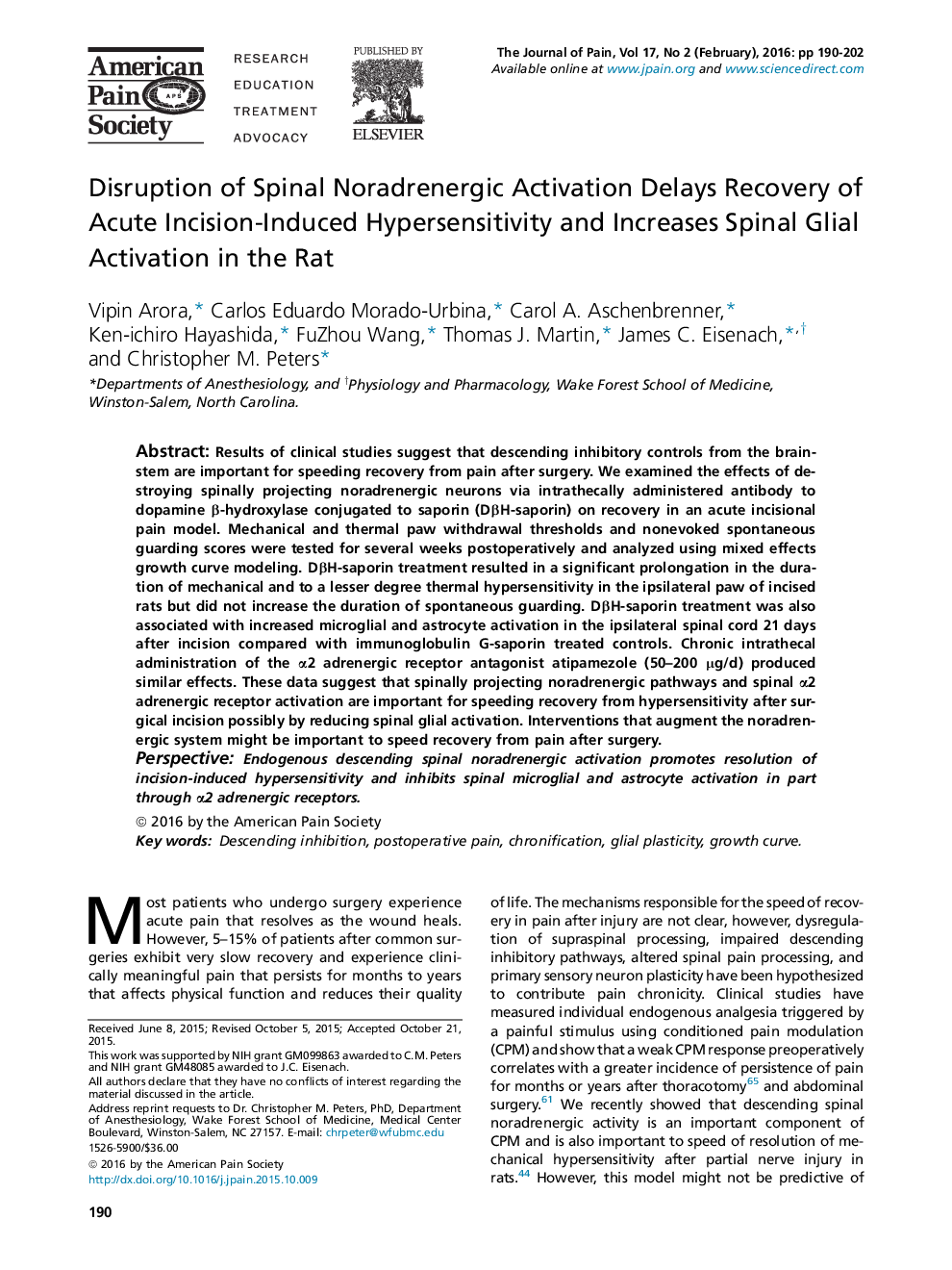 Disruption of Spinal Noradrenergic Activation Delays Recovery of Acute Incision-Induced Hypersensitivity and Increases Spinal Glial Activation in the Rat