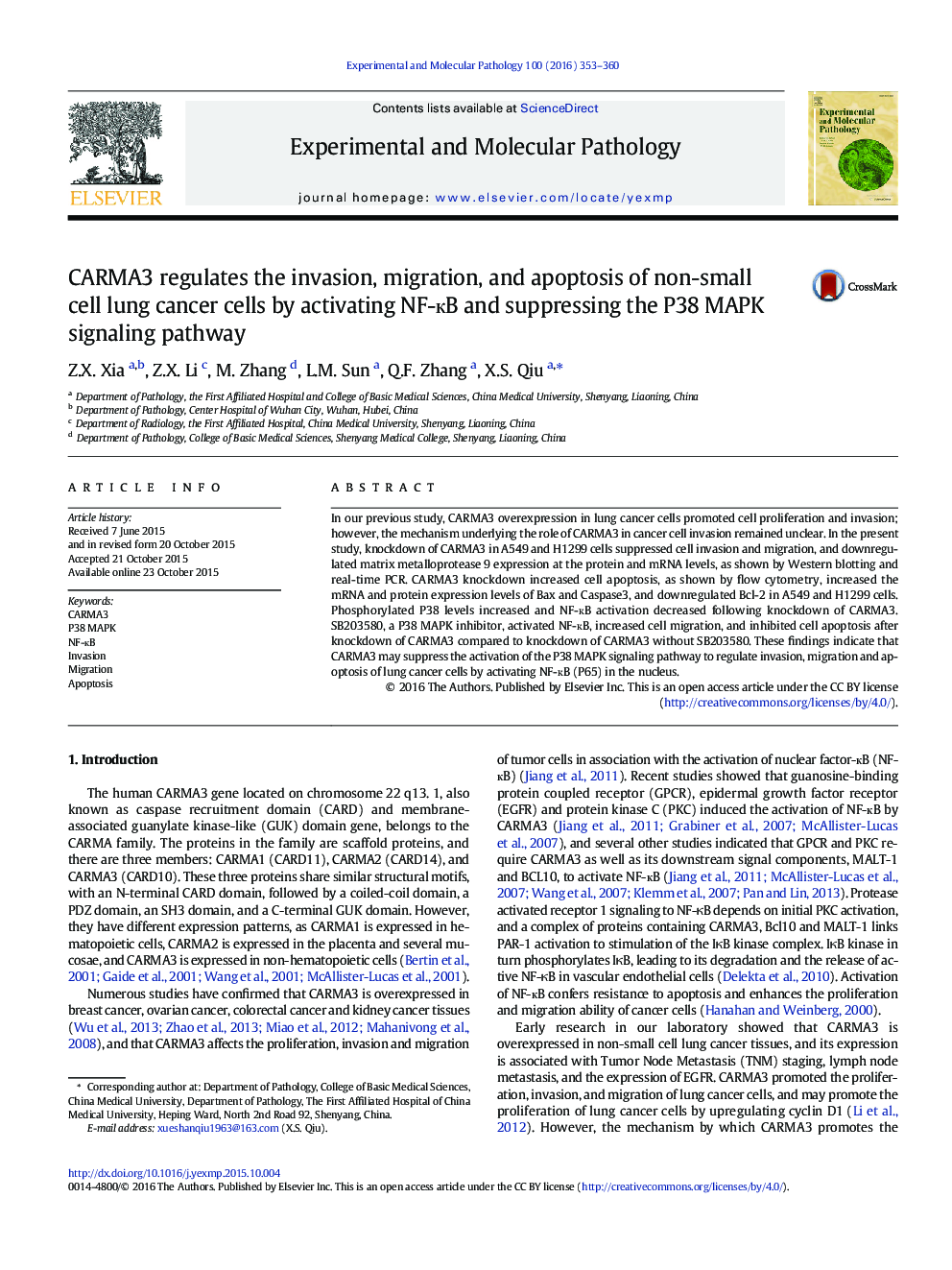 CARMA3 regulates the invasion, migration, and apoptosis of non-small cell lung cancer cells by activating NF-ÐºB and suppressing the P38 MAPK signaling pathway