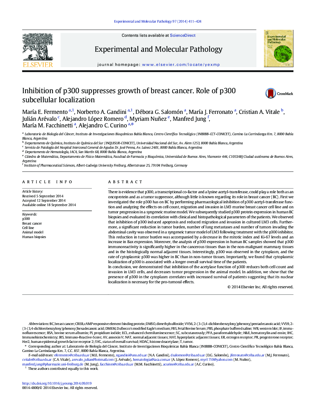 Inhibition of p300 suppresses growth of breast cancer. Role of p300 subcellular localization