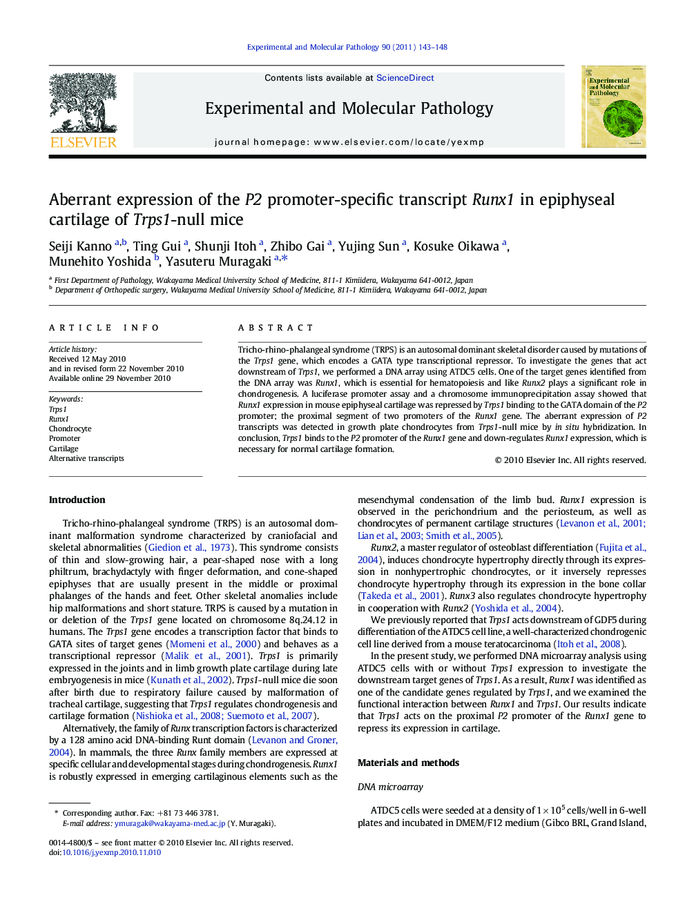 Aberrant expression of the P2 promoter-specific transcript Runx1 in epiphyseal cartilage of Trps1-null mice