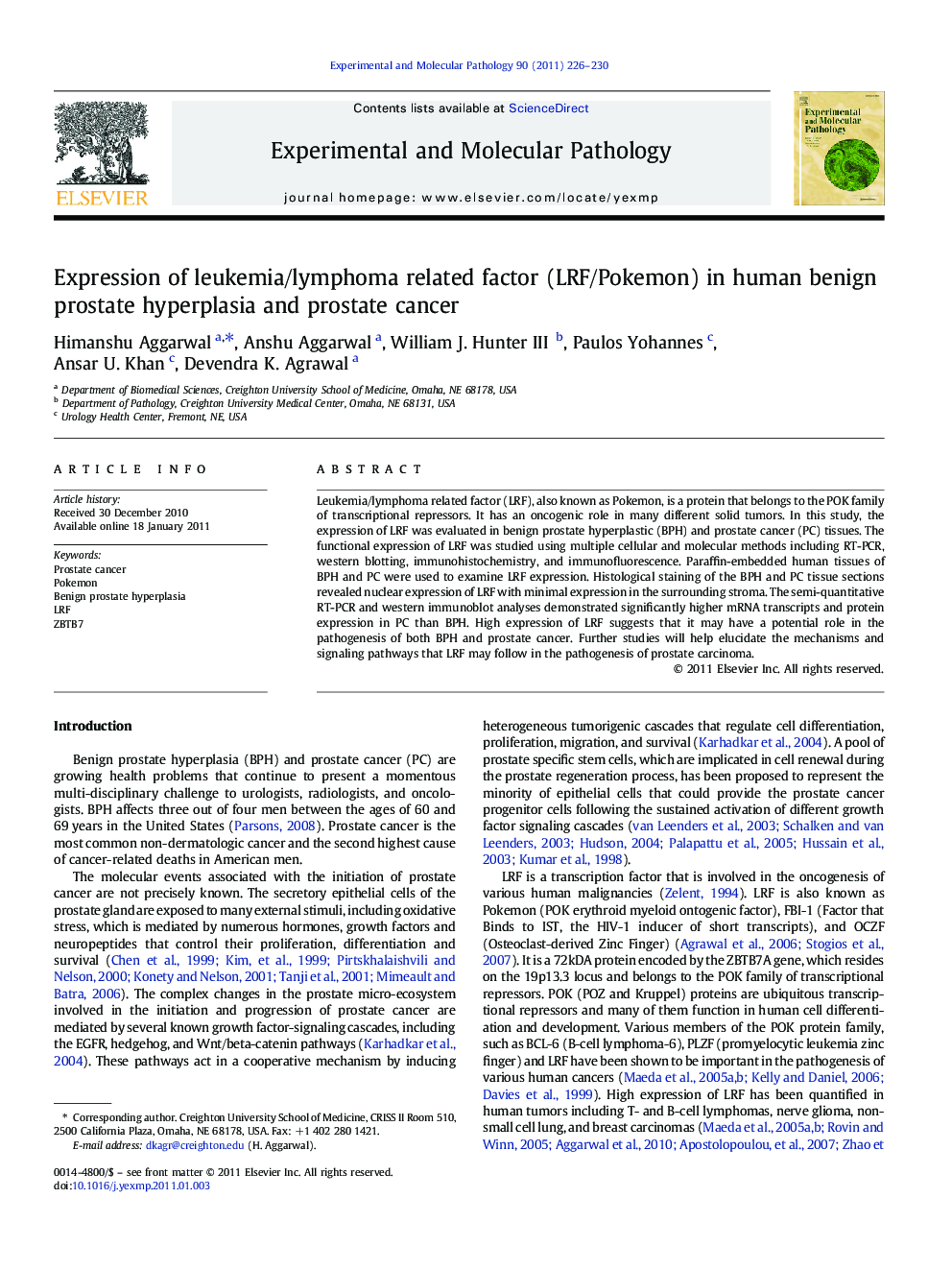 Expression of leukemia/lymphoma related factor (LRF/Pokemon) in human benign prostate hyperplasia and prostate cancer