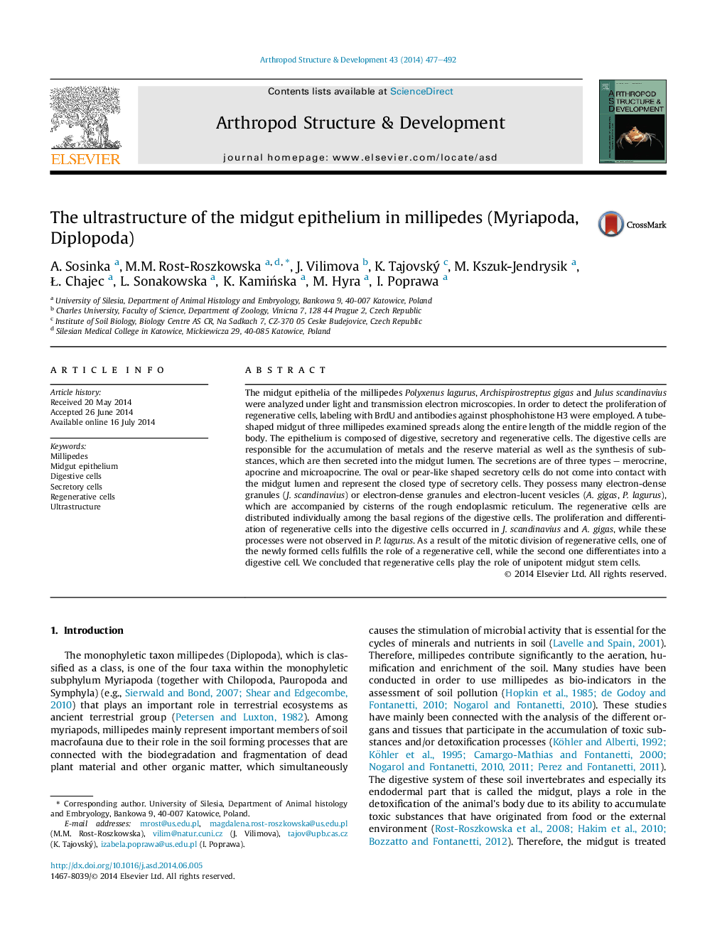 The ultrastructure of the midgut epithelium in millipedes (Myriapoda, Diplopoda)