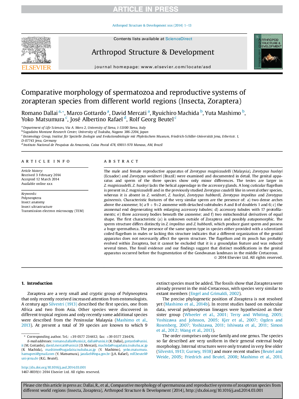 Comparative morphology of spermatozoa and reproductive systems of zorapteran species from different world regions (Insecta, Zoraptera)