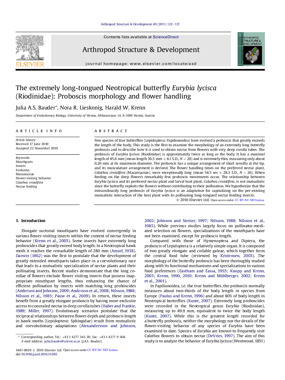 The extremely long-tongued Neotropical butterfly Eurybia lycisca (Riodinidae): Proboscis morphology and flower handling