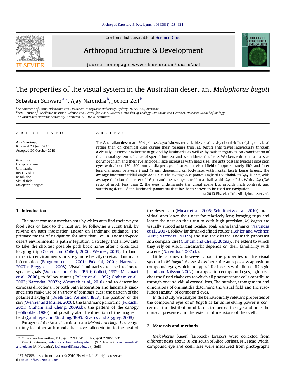 The properties of the visual system in the Australian desert ant Melophorus bagoti