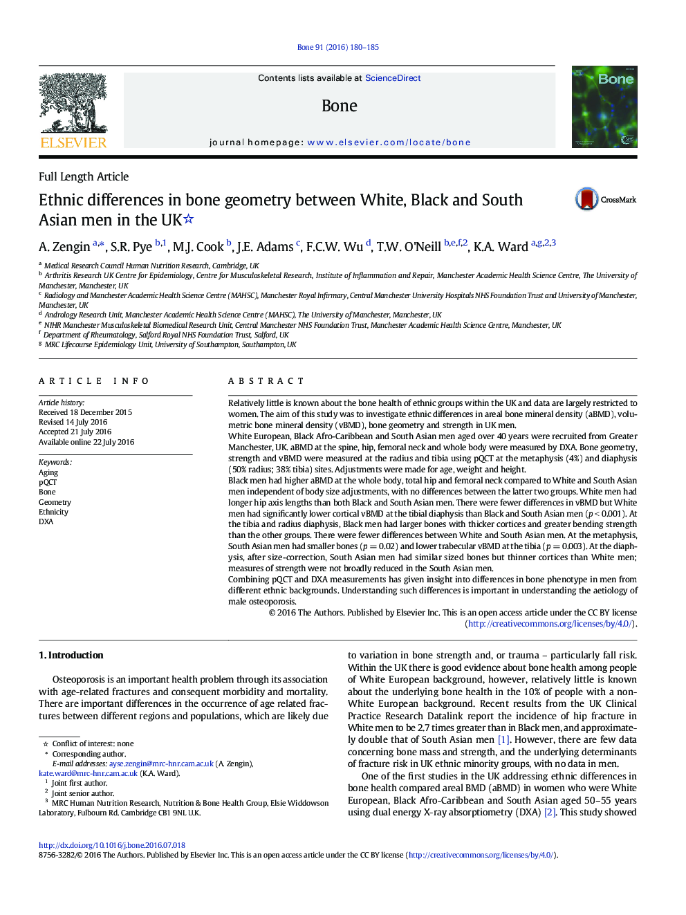 Ethnic differences in bone geometry between White, Black and South Asian men in the UK