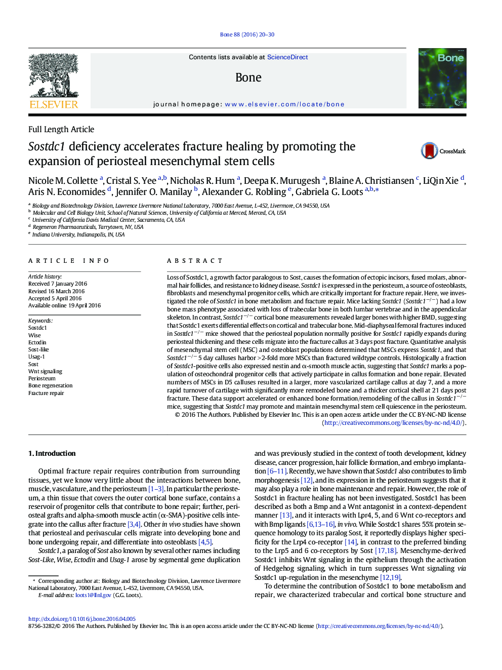 Sostdc1 deficiency accelerates fracture healing by promoting the expansion of periosteal mesenchymal stem cells