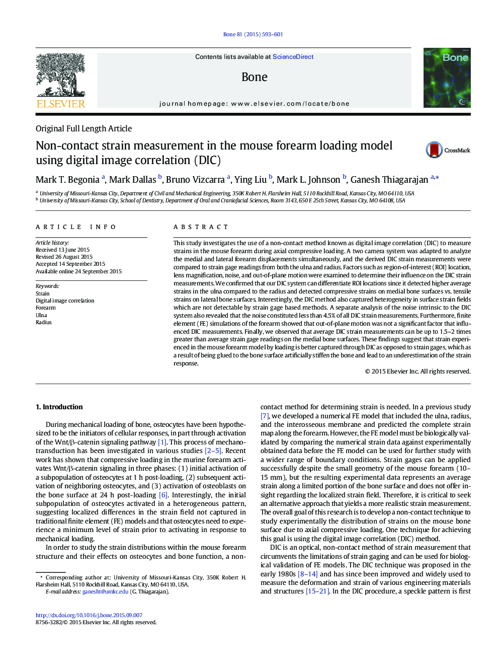 Non-contact strain measurement in the mouse forearm loading model using digital image correlation (DIC)