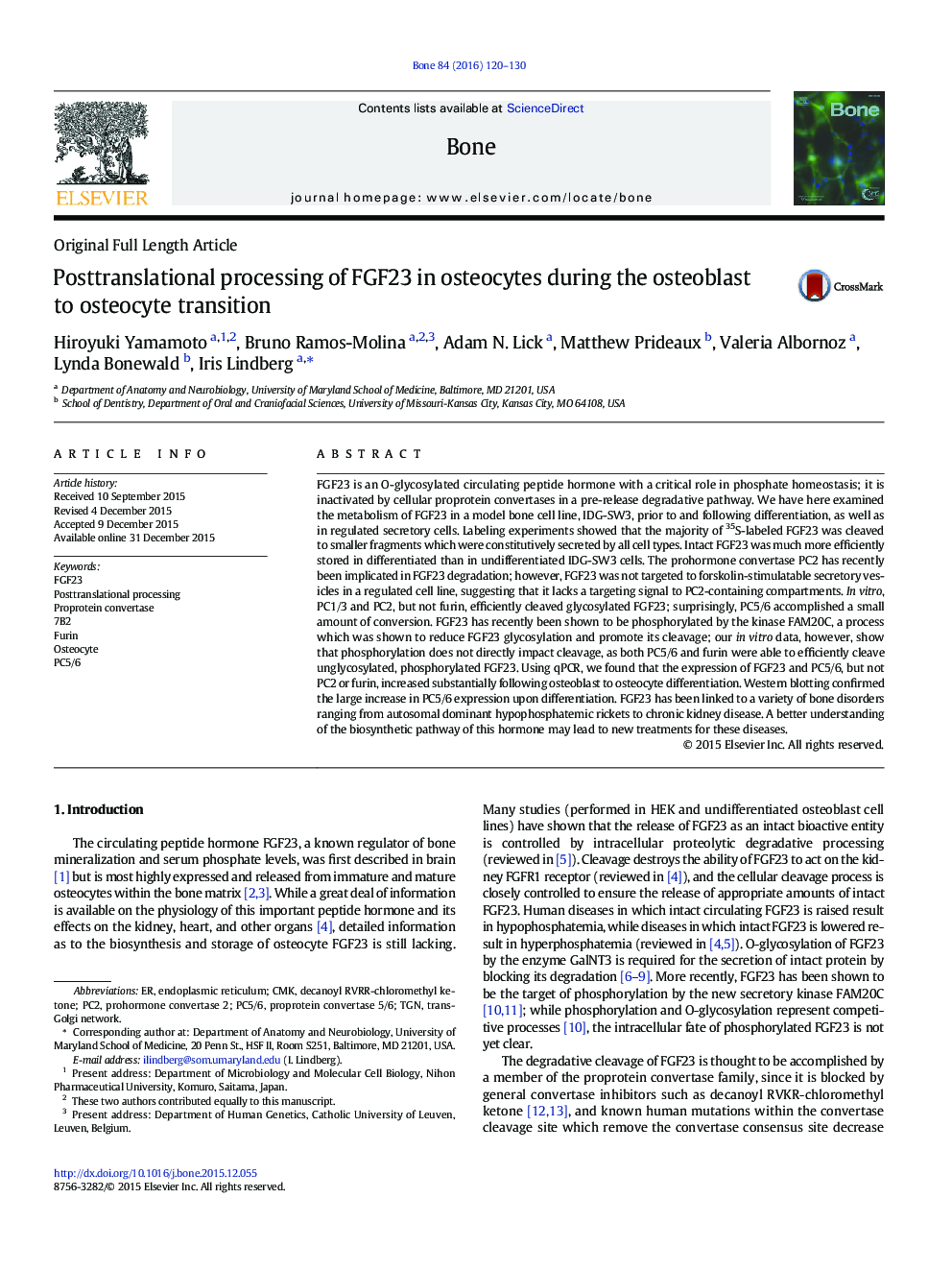 Posttranslational processing of FGF23 in osteocytes during the osteoblast to osteocyte transition