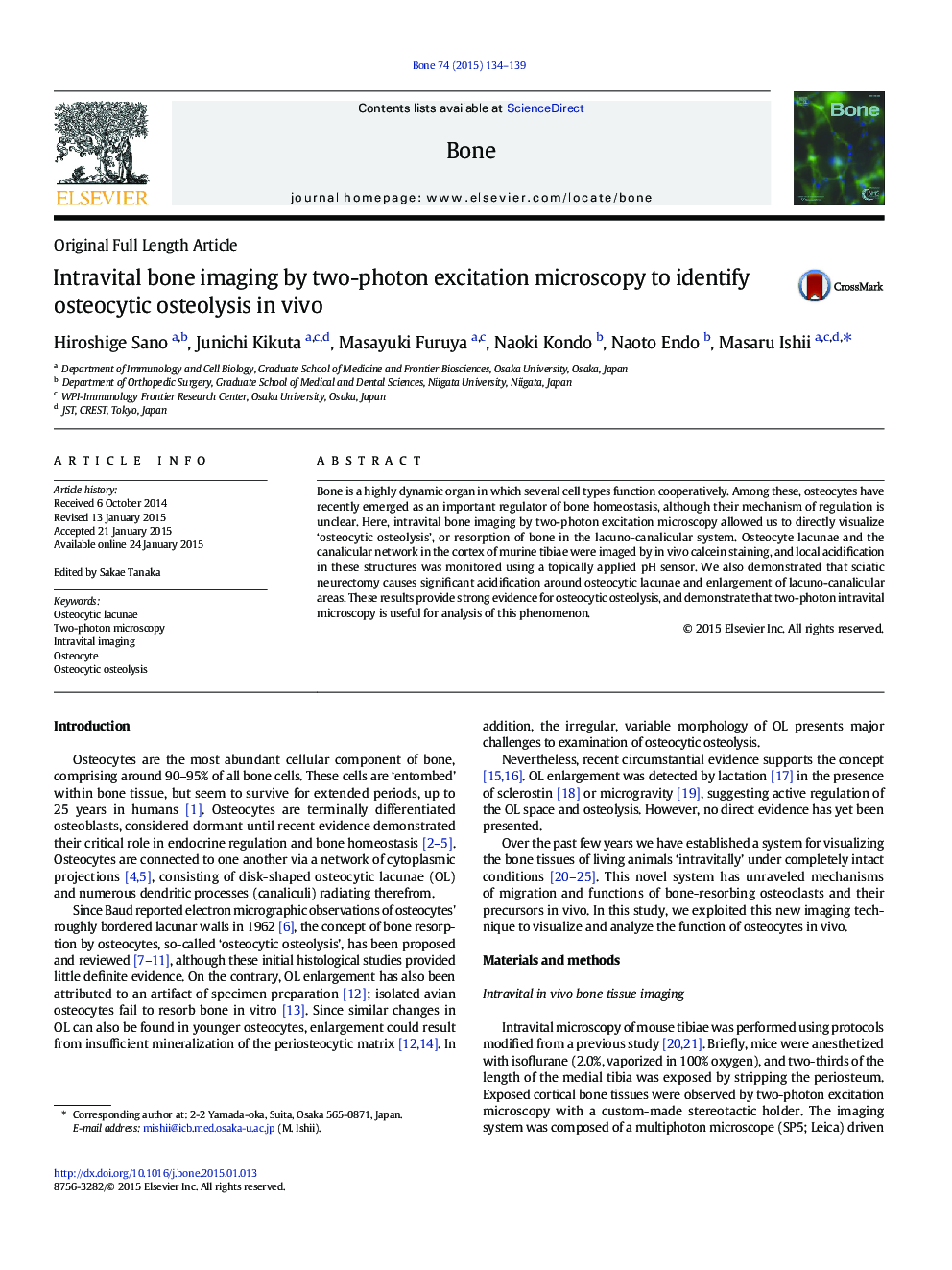 Original Full Length ArticleIntravital bone imaging by two-photon excitation microscopy to identify osteocytic osteolysis in vivo