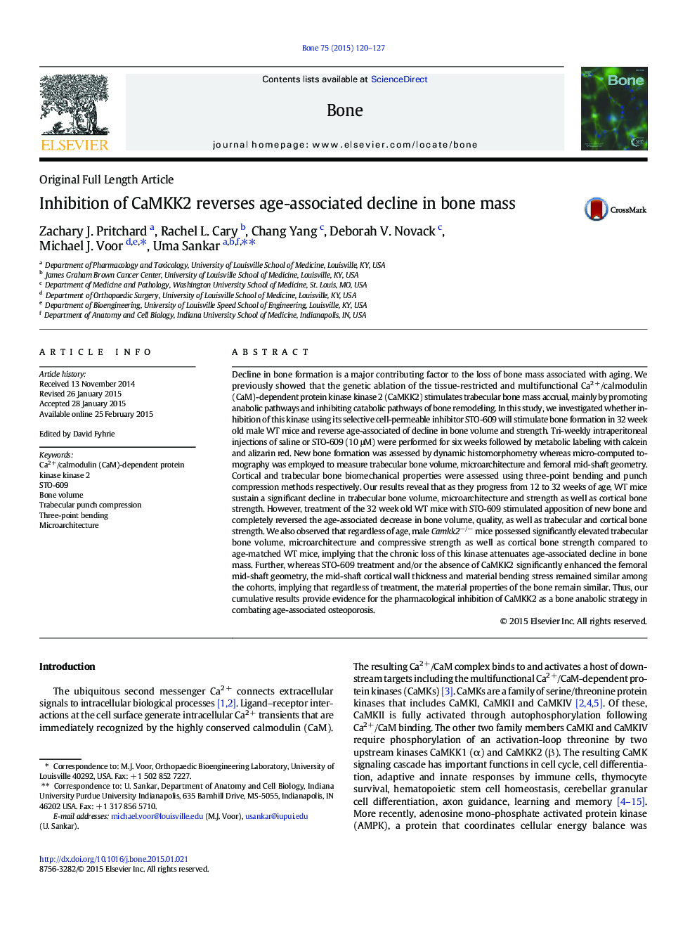 Inhibition of CaMKK2 reverses age-associated decline in bone mass