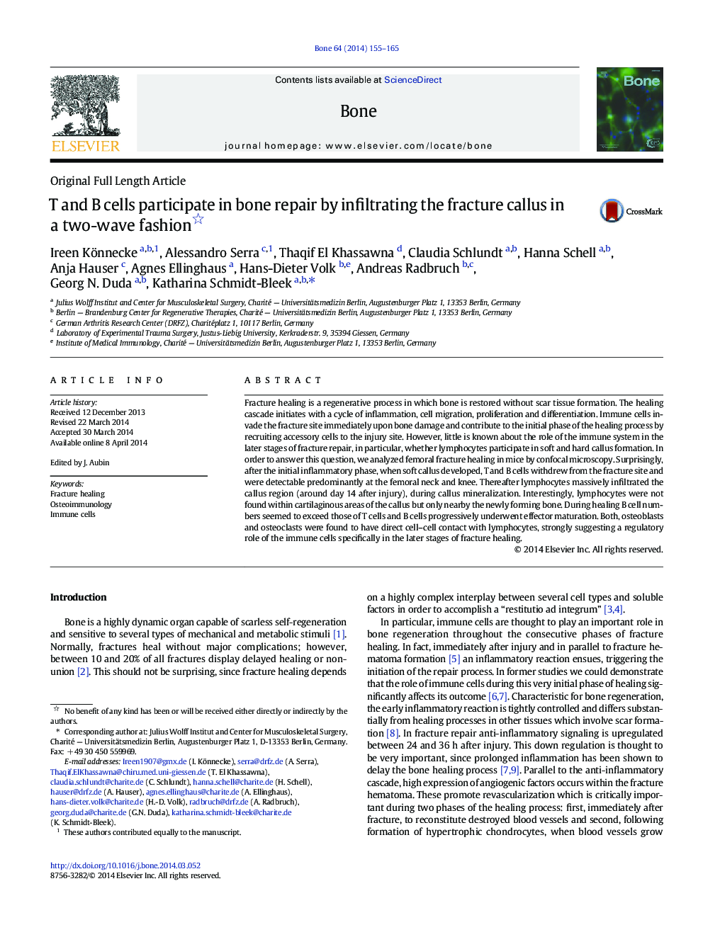 Original Full Length ArticleT and B cells participate in bone repair by infiltrating the fracture callus in a two-wave fashion