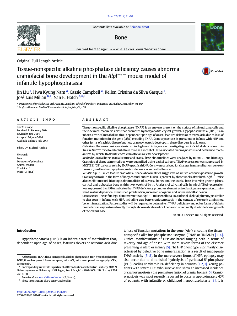 Tissue-nonspecific alkaline phosphatase deficiency causes abnormal craniofacial bone development in the Alplâ/â mouse model of infantile hypophosphatasia