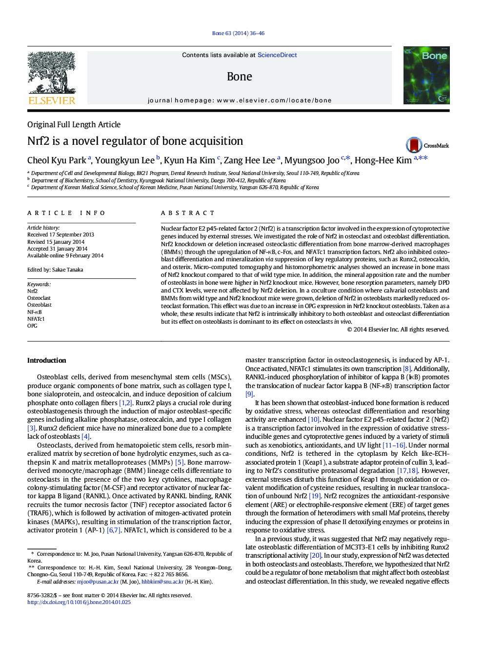 Nrf2 is a novel regulator of bone acquisition