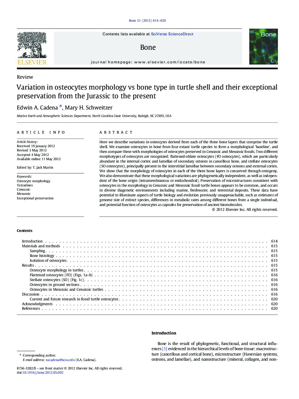 Variation in osteocytes morphology vs bone type in turtle shell and their exceptional preservation from the Jurassic to the present