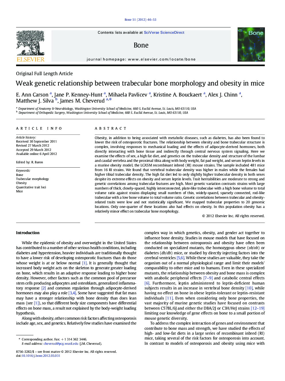 Weak genetic relationship between trabecular bone morphology and obesity in mice