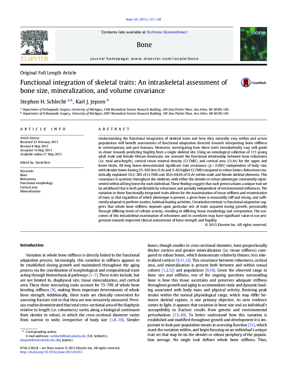 Functional integration of skeletal traits: An intraskeletal assessment of bone size, mineralization, and volume covariance