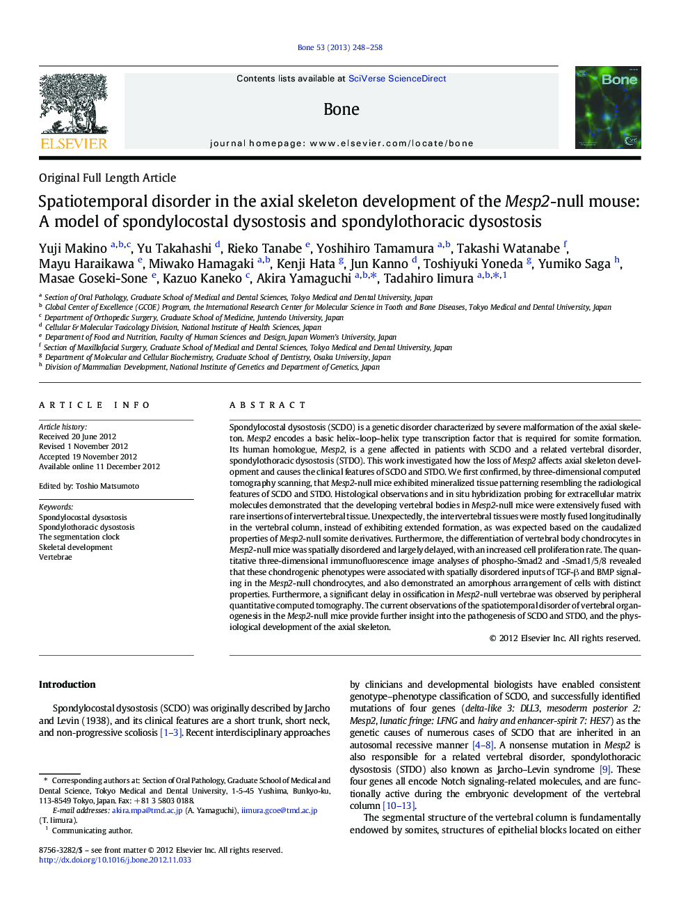 Spatiotemporal disorder in the axial skeleton development of the Mesp2-null mouse: A model of spondylocostal dysostosis and spondylothoracic dysostosis