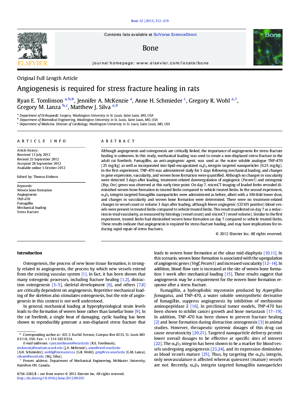 Angiogenesis is required for stress fracture healing in rats