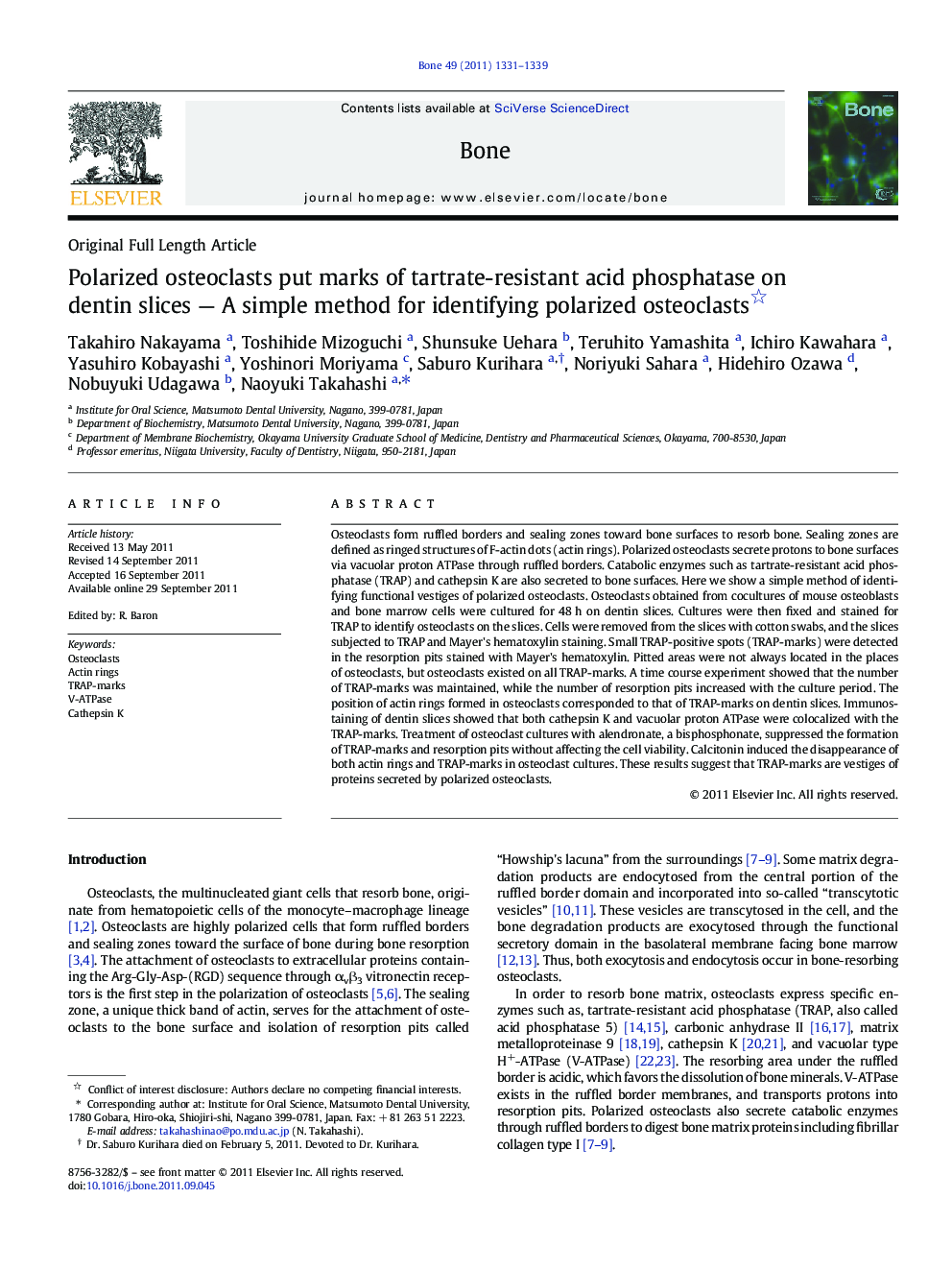 Original Full Length ArticlePolarized osteoclasts put marks of tartrate-resistant acid phosphatase on dentin slices - A simple method for identifying polarized osteoclasts