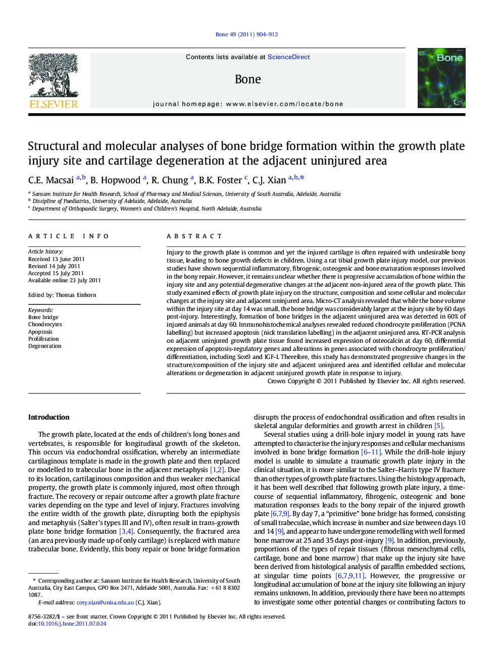 Structural and molecular analyses of bone bridge formation within the growth plate injury site and cartilage degeneration at the adjacent uninjured area