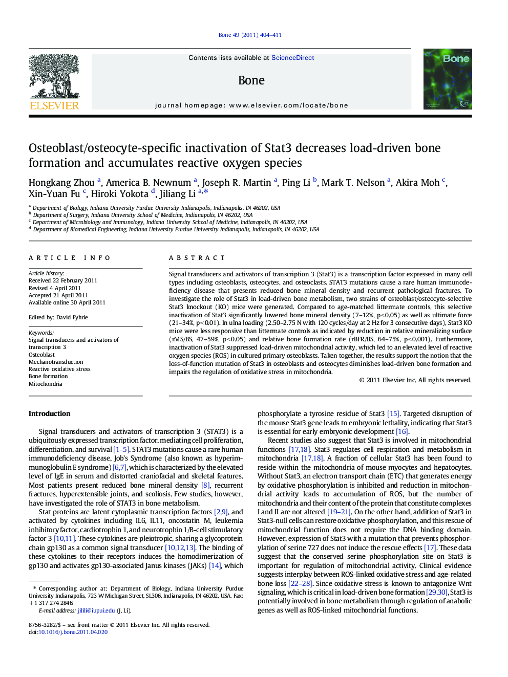 Osteoblast/osteocyte-specific inactivation of Stat3 decreases load-driven bone formation and accumulates reactive oxygen species