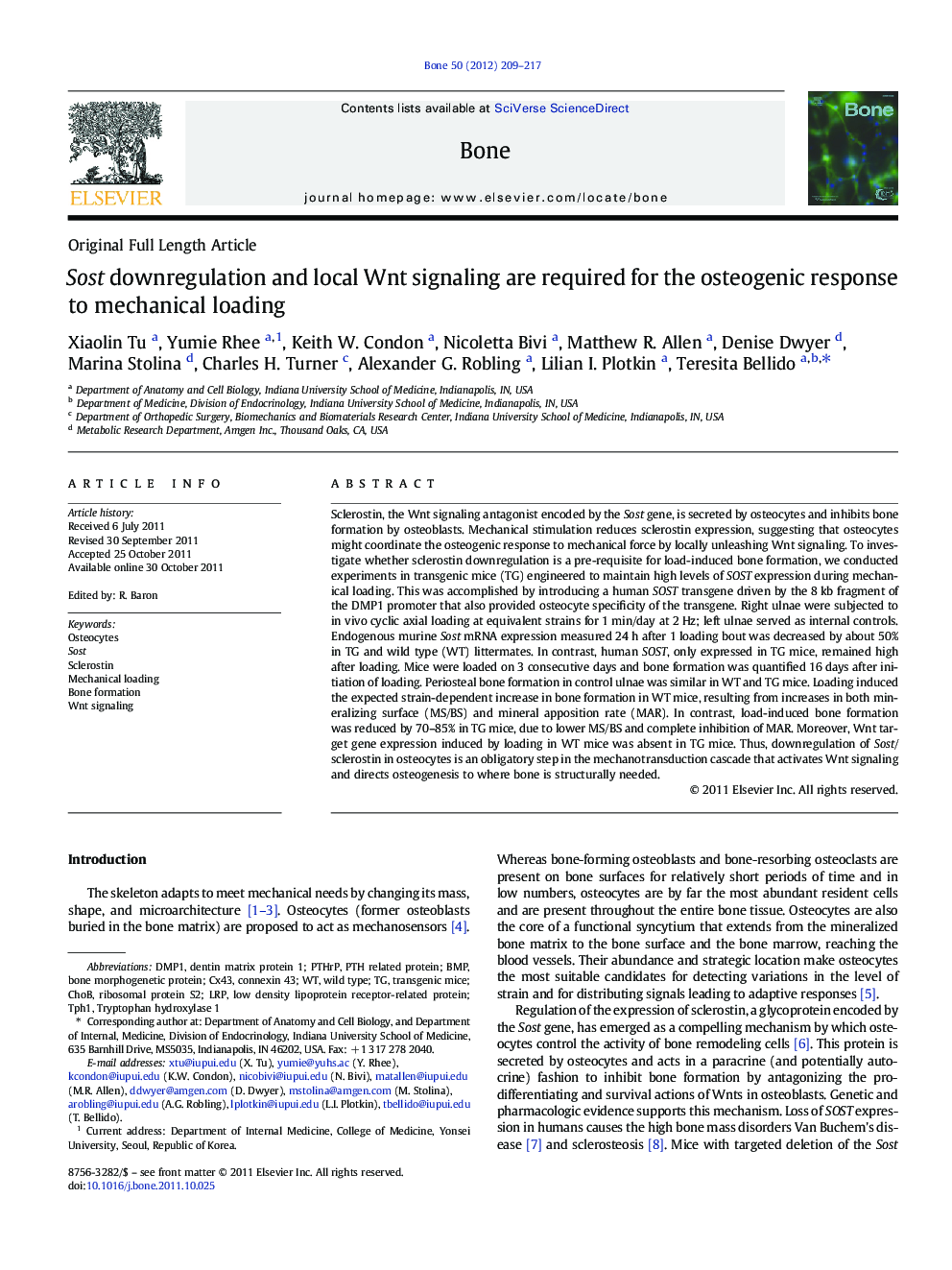 Original Full Length ArticleSost downregulation and local Wnt signaling are required for the osteogenic response to mechanical loading