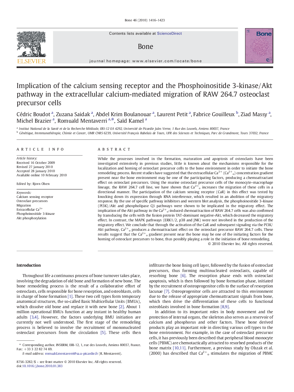 Implication of the calcium sensing receptor and the Phosphoinositide 3-kinase/Akt pathway in the extracellular calcium-mediated migration of RAW 264.7 osteoclast precursor cells